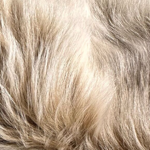 Ralph Lauren Collection Pre-Fall 2014 Lamb Shearling Fur Collar Cardigan - Picture 8 of 16